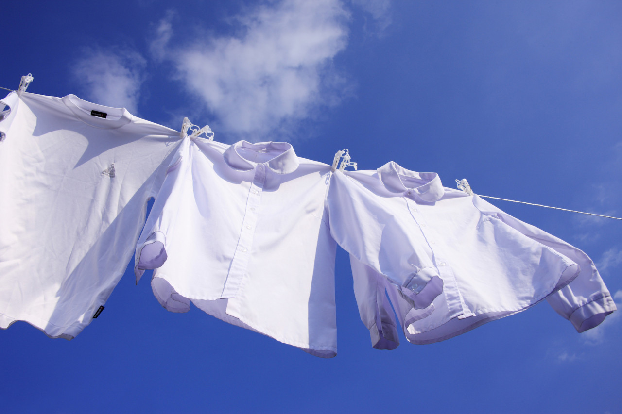 <水洗い・特殊品>